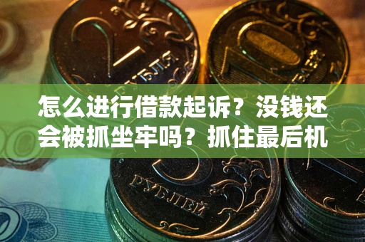 北京怎么进行借款起诉？没钱还会被抓坐牢吗？抓住最后机会！